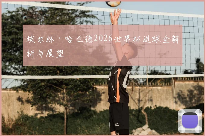 埃尔林·哈兰德2026世界杯进球全解析与展望