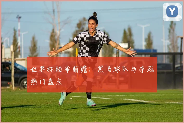 世界杯赔率前瞻：黑马球队与夺冠热门盘点